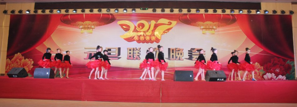大方集團隆重舉辦“夢之綻放”元旦聯歡晚會